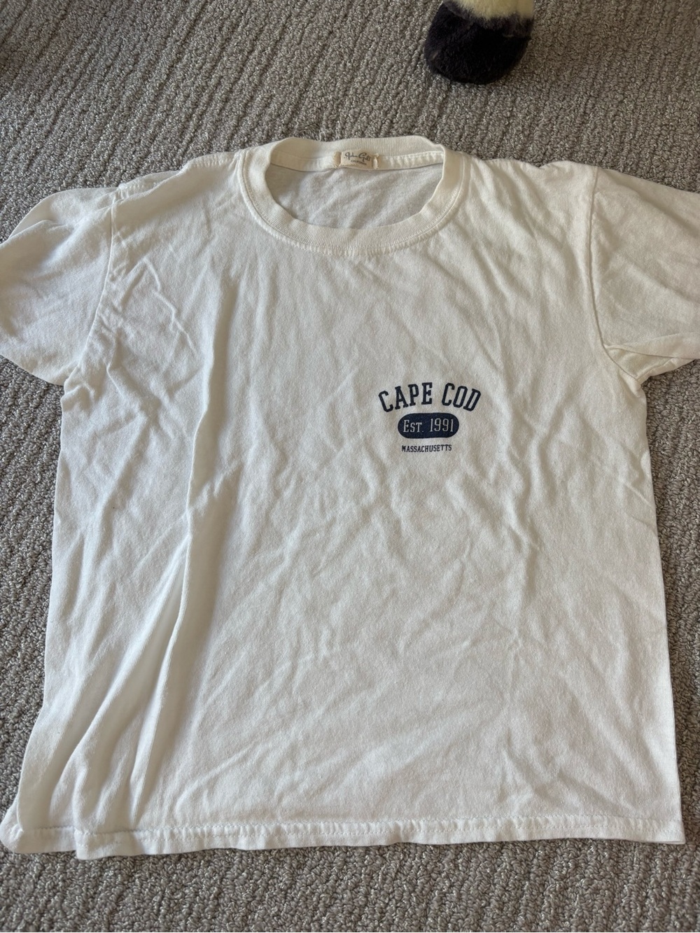 Brandy Melville White Tee with Navy Cape Cod Logo